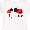 thumbnail image 4 of Inktastic Big Sister Girls Long Sleeve Baby Bodysuit, 4 of 5