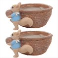 thumbnail image 1 of Tuerca de Ardilla, Maceta de Resina para Jardín, Jardinería de Escritorio, Maceta Suculenta, Decoración de Plantas , Nueces, 1 of 5