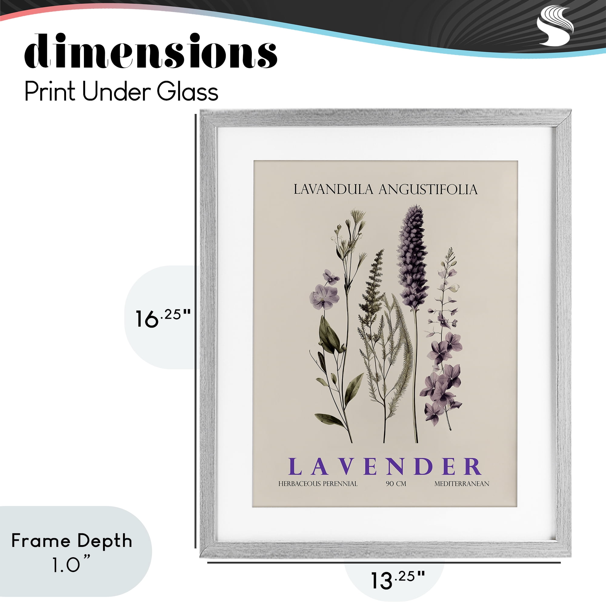 Stupell Industries Natural Lavender Bundle Gray Framed Print Under Glass, design by Christopher Giampietro