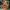 Santas Favorite, variant on No Boundaries Christmas Sweater, Women's and Women's Plus