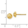 thumbnail image 3 of 14k Gold Diamond-cut 5mm Domed Post Earrings YE1697, 3 of 3