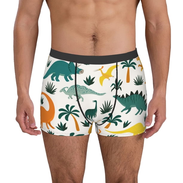 Balery Dinosaurs and Tropical Leaves Calzoncillos bóxer para hombre, ropa interior de algodón suave y transpirable con cinturilla de nailon-Medium