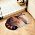 thumbnail image 6 of FastXmas Cute Cat Rug, Bath Mat, Cat Bathroom Decor for Home, Cute Small Bath Mat Indoor Gifts 16×24 Inch, Non Slip Strong Absorbent Soft Washable Animal Bathroom Rug for Door, Shower Room, 6 of 6