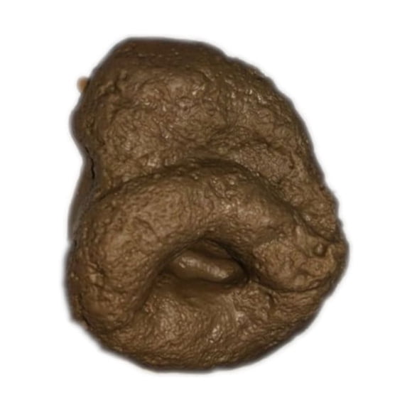 Farce de Salle de Bain Fausse Caca de Fête Craptail Chien Humain Caca Blague Drôle Toilette Caca, 8.5*6cm