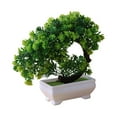 thumbnail image 3 of Planta decorativa artificial en maceta Macarena Estilo loto 20 cm x 20 cm, 3 of 8