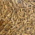 thumbnail image 3 of Life Cycle Organics 1 Gallon Organic Rice Hulls Soil Amendment, 3 of 6