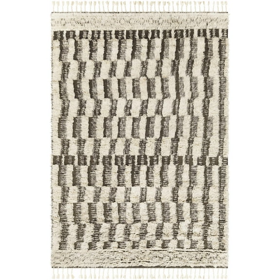 Hauteloom Deltaville Wool Living Room, Bedroom Area Rug - Bohemian, Transitional - High Pile - Charcoal, Cream, Tan - 2' x 3'