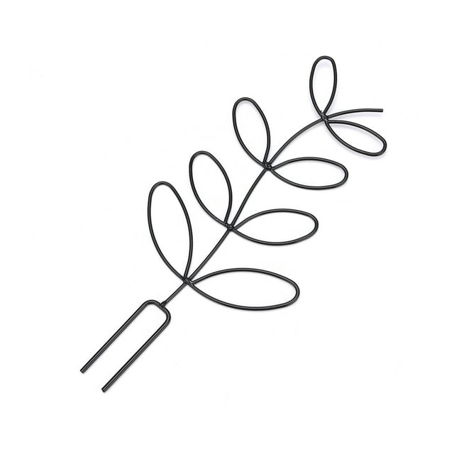Plante Grimpante en Rotin Support de Fleurs en Fer Forgé (Noir * Queue Pointue)