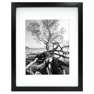 MCS 16x20 Black Canvas Shell Wall Frame