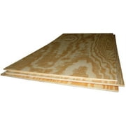 Thunderbird Forest Plywood Bc 1/2 " X 4 ' X 4 ' Pine Sanded