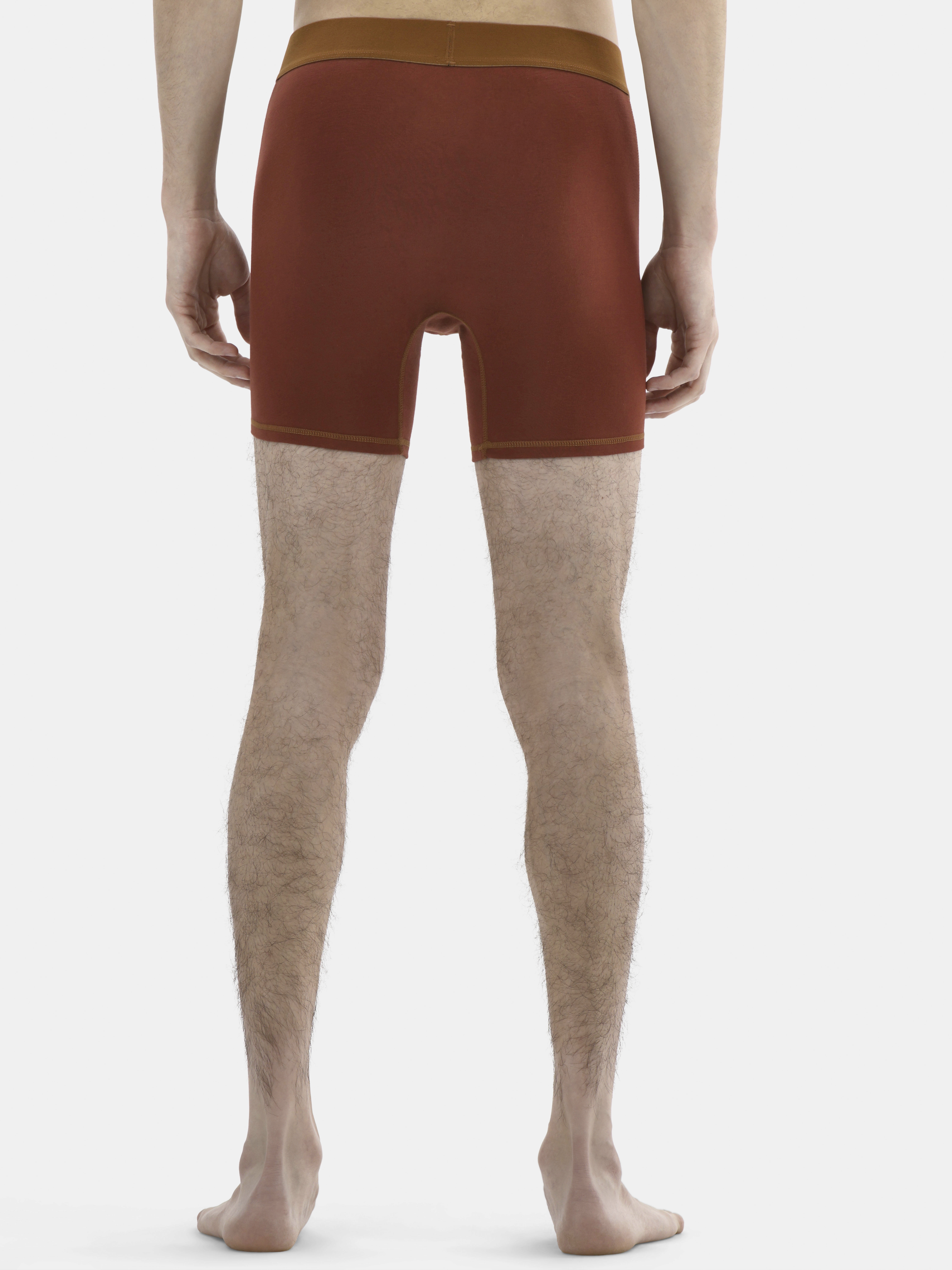 No Boundaries Warms Boxer Briefs, 3-Pack, Men's