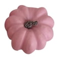 thumbnail image 2 of Clearance Sale | Artificial Light Pink Pumpkin Decoration, Realistic Halloween Tabletop and Party Prop, 2 of 9