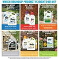 thumbnail image 3 of Roundup Weed and Grass Killer, 35.2 oz, 3 of 4