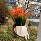 thumbnail image 5 of Macetas Creativas Resina Con Cara para Plantas Interior Y Exterior (columpio B), 5 of 9