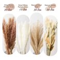 thumbnail image 2 of 120 piezas de pampas secas para el hogar R, Ornt, bodas, etc., 2 of 3