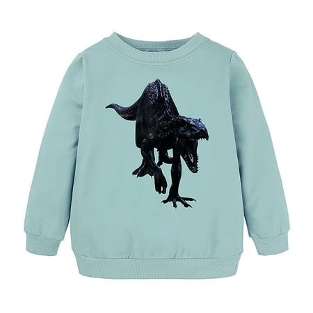 

Little Boys Girls Kids Unisex Cartoon Animals Dinosaur Printed Sweatshirt Pullover Hoodie for Girls Boys Youth Baseball Sweatshirt 2ne1 Hoodie Boys Western Hoodie 2 Hoodie Preppy Hoodies Big Boys