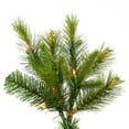 thumbnail image 2 of Vickerman 7.5' Cashmere Pine Artificial Christmas Tree, Clear Dura-Lit® Lights, 2 of 6