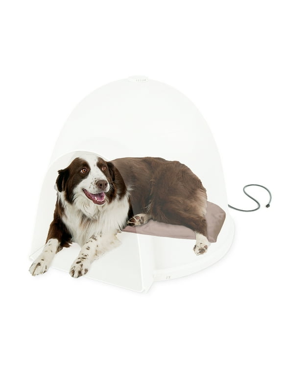 Igloo Dog Houses in Dog Houses