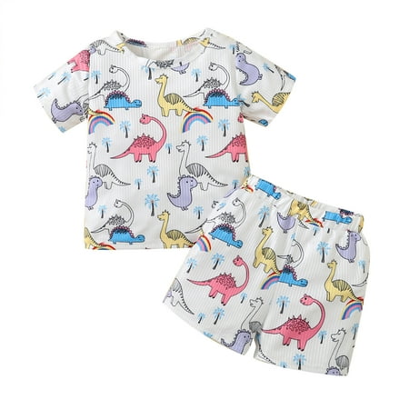 

Baby Suit Summer Cartoon Dinosaur Cute Factory Summer Boy Cartoon Short Sleeve T Shirt Shorts 2Pcs Suit White 3Y