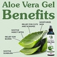 thumbnail image 3 of Gel de aloe vera Earth's Daughter orgánico, 240 ml, prensado en frío, 3 of 9