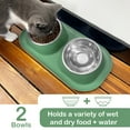 thumbnail image 5 of Ptlom Elevated Stainless Steel Pet Food Bowl with Stands, Raised Dog Cat Feeding Bowls Set Suitable for Cats and Small Dogs, Green, 5 of 9