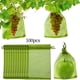 thumbnail image 3 of Bolsas para almacenar frutas, 100 paquetes, bolsas de malla con cierre, protectores de frutas duraderos, 10 cm x 15 cm, 3 of 8