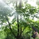 thumbnail image 4 of Lavadora A Presión Inalámbrica, Pistola de Agua Recargable Portátil Con Batería de Litio, Respetuosa con El Medio Ambiente para Lavado de Vehículos, 4 of 7
