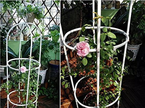 Garden Plant Support Pillar Trellis Roses trellis Black 75" high 15"Dia 1 set