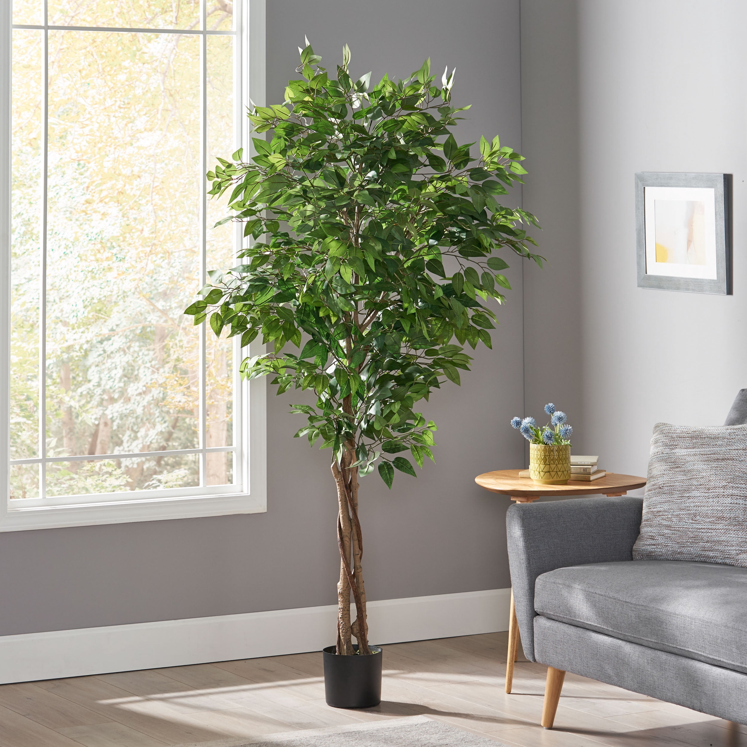 Harney 6' x 2.5' Artificial Tabletop Ficus Tree, Green
