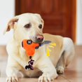 thumbnail image 4 of Plush Dog Toy,Soft Plush Pet Electric Dog Toy Dog Chewing Toy Built for Precision, 4 of 8