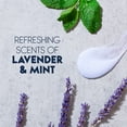 thumbnail image 3 of Head & Shoulders Lavender Mint Anti-Dandruff 2-in-1 Shampoo + Conditioner, 12.8oz, 3 of 9