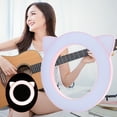 thumbnail image 1 of ABS+PC Material 10W Cute Live Support Bracket Fill Light, Led Fill Light, Make Up Photography For Mobile Phone Pink Cat, 1 of 8