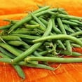 thumbnail image 1 of 50 TENDERGREEN GREEN BEAN Phaseolus Vulgaris Vegetable Seeds, 1 of 3