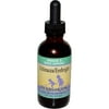 Herbs for Kids Echinacea Eyebright 2 fl oz 59 ml