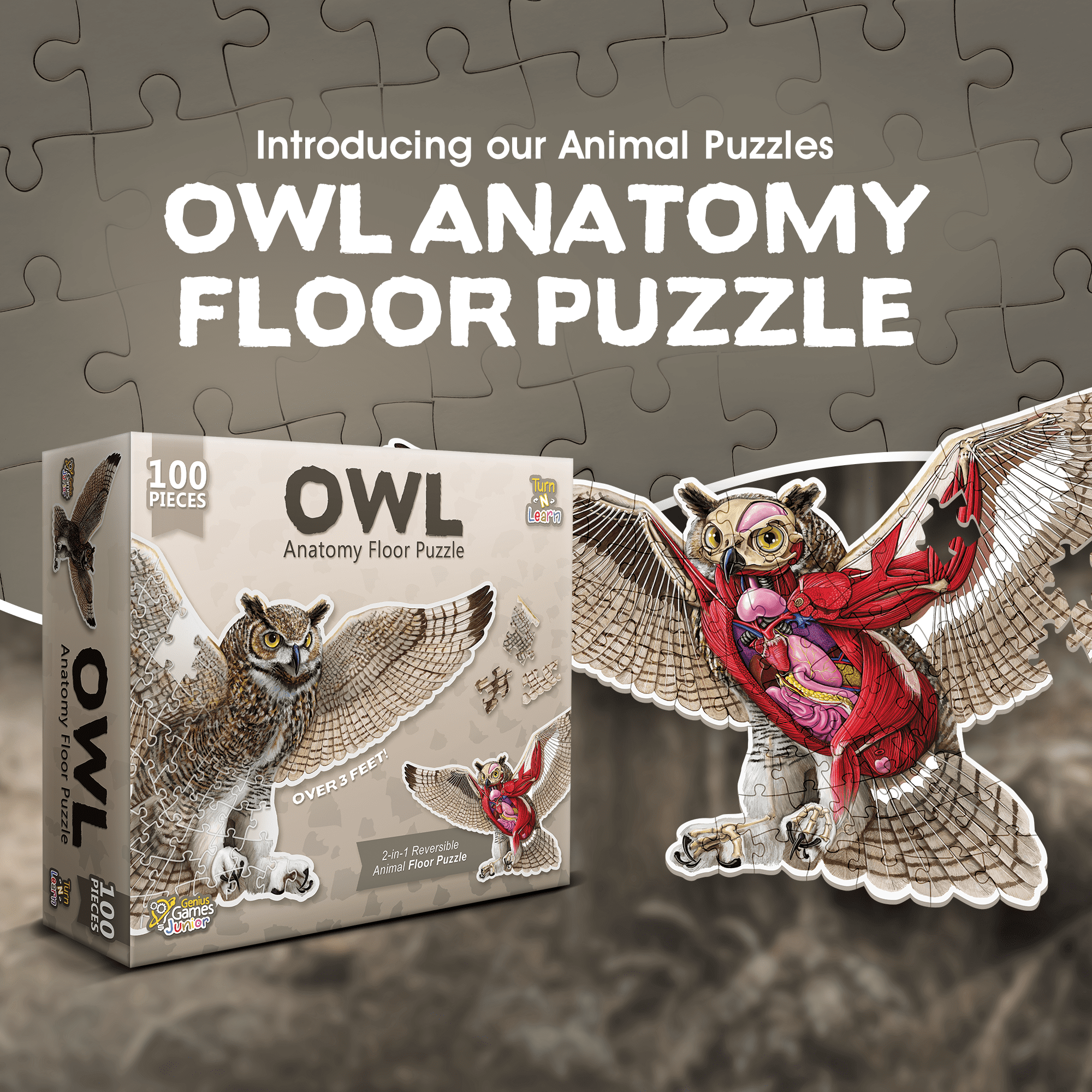 Owl Animal Anatomy Floor Puzzle | 100-Piece Double Sided Jigsaw Puzzle | Large-Sized, Over 3 Feet Scientifically Accurate Illustration