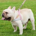 thumbnail image 5 of Dog Harness ,Reflective Strip Escape Proof and Quick Fit to Adjust Dog Harness,Easy for Training Walking for Small & Medium and Large Dog - pink, 5 of 5