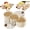 Brown, variant on 360° Rotating Fruit and Vegetable Storage Box,Double-Layered Nut Storage Tray with Water Drainage,Nut Storage Box,Multi-Compartment Snack Organizer for Kitchen,Fridge & Dining Table Use (Mini,Red)
