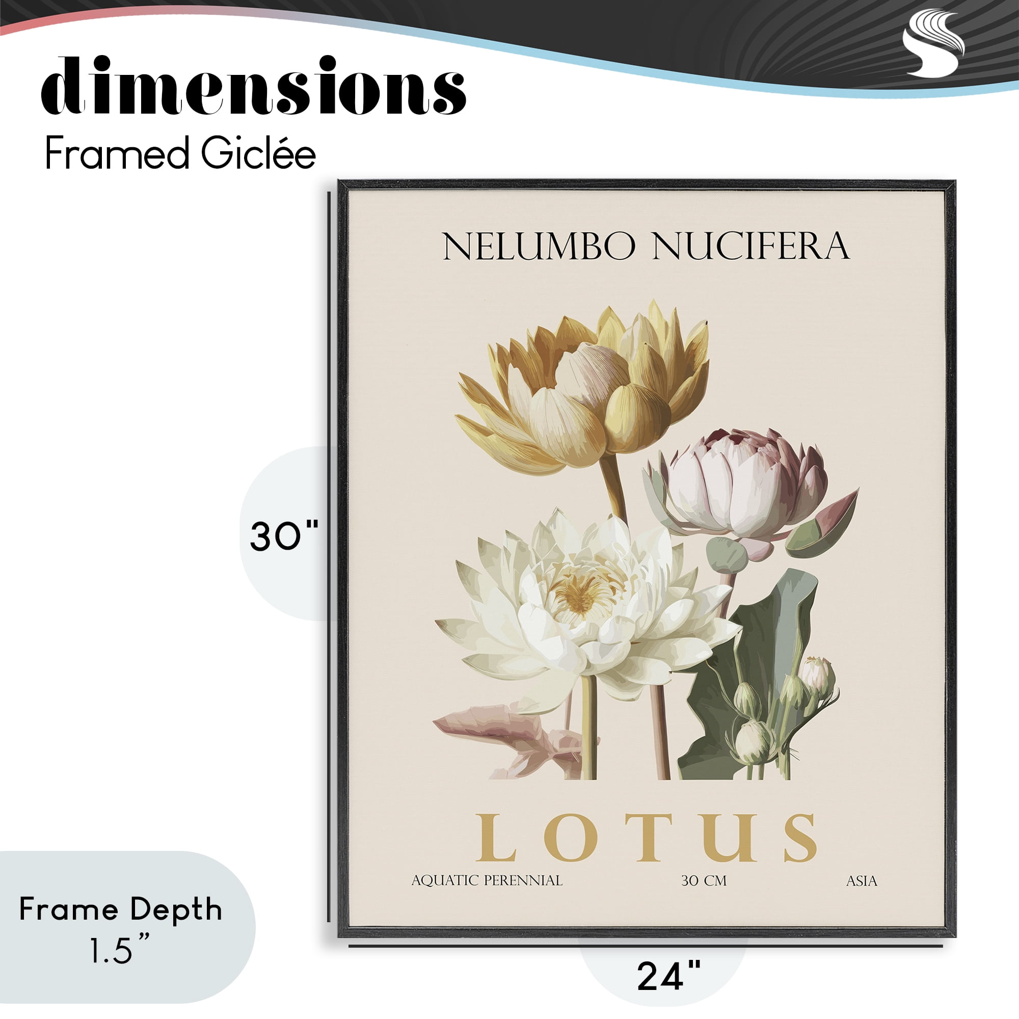 Stupell Industries Natural Lotus Bundle Black Framed Giclee Art, design by Christopher Giampietro