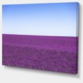 thumbnail image 2 of Lavender Flowers with Blue Horizon - Oversized Landscape Wall Art Print, 2 of 3