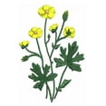 thumbnail image 3 of Threadart Machine Embroidery Design Bundles - Plant Sets - Wildflowers(1) - Loaded on USB Stick - 7 Sets Available, 3 of 6