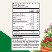 Floradix Iron Tablets - Iron Supplement with B Vitamins, Folic Acid, Vitamin C & More - Energy Support - Vegetarian & Gluten-Free - 120 Tablets (120 Servings)