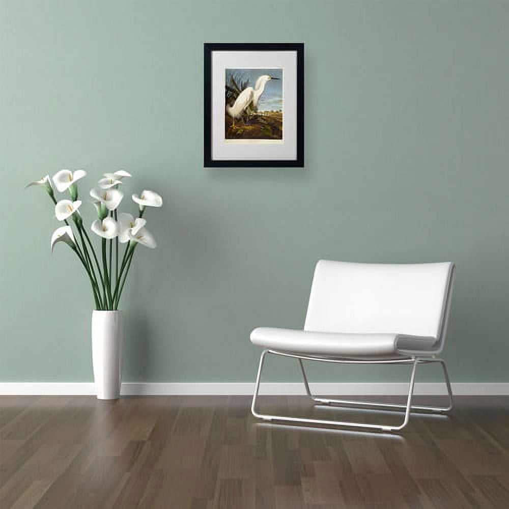 Trademark Fine Art "Snowy Heron" Canvas Art by John James Audubon, Black Frame