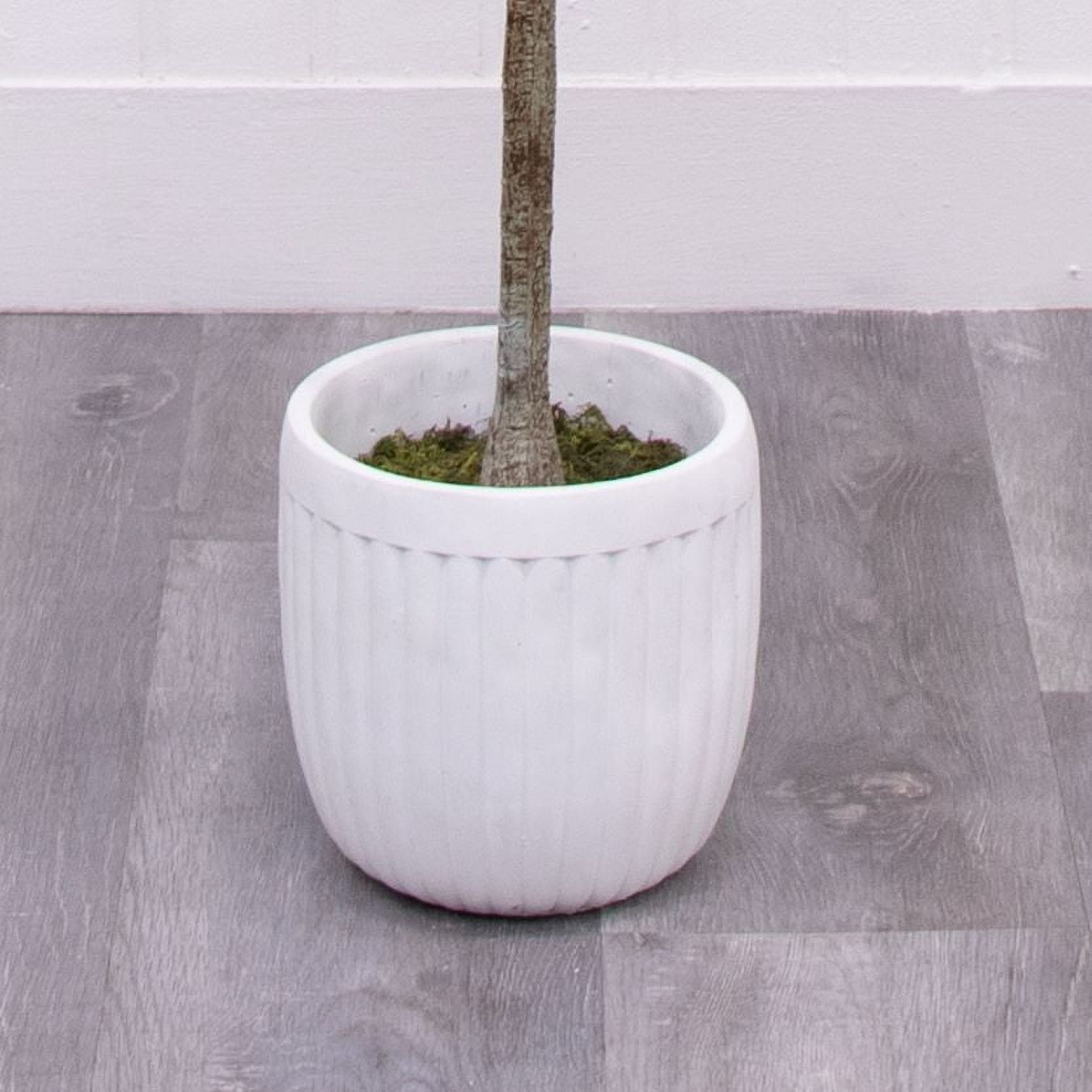 Better Homes & Gardens 6'H Artificial Indoor Olive Tree in Ceramic Plant Container