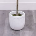 thumbnail image 5 of Better Homes & Gardens 6'H Artificial Indoor Olive Tree in Ceramic Plant Container, 5 of 7