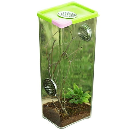 breeding terrarium