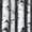 Color 2, variant on Peel and Stick Wallpaper Black White Birch Tree Trunk Detailed Bark Texture Wall Mural 23.6in x 9.8ft Self Adhesive Removable Wall Paper Renter Friendly Wallpaper for Nursery Bedroom Cabinets