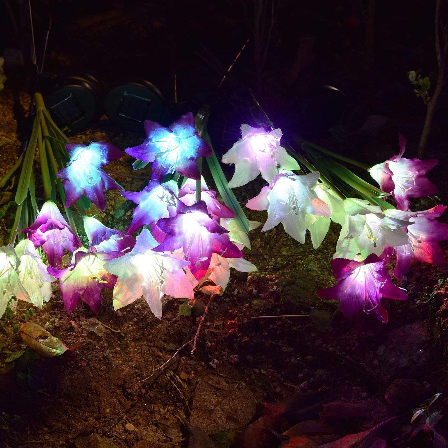 Outdoor Solar Garden Stake Lights - 2 Pack Solar Powered Lights with 8 Lily Flower, Multi-color Changing LED Solar Decorative Lights for Garden, Patio, Backyard (Purple and White)
