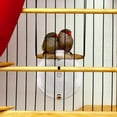 thumbnail image 4 of OULII Bebedero Para Y Pájaros Pequeños Con Material Resistente Y Uso Conveniente, 4 of 8