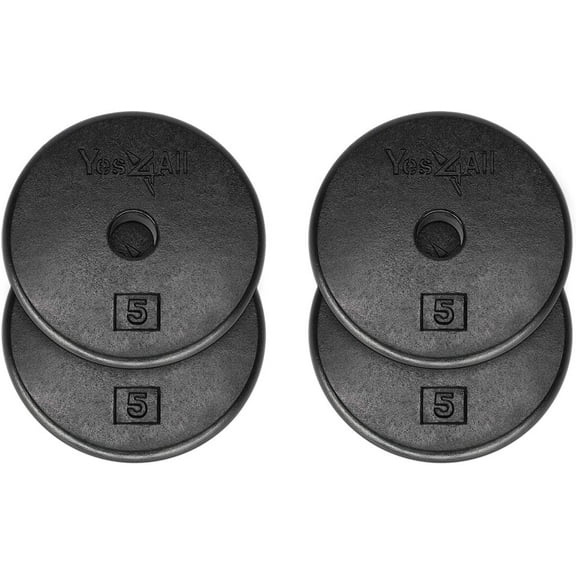 Yes4All 1 inch Cast Iron Weight Plates for Dumbbells, Standard Weight Plates (Combo 10lbs x 4pcs)