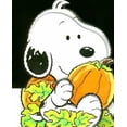 thumbnail image 1 of Pre-Owned Baby Snoopy's Pumpkin Grow! (Unknown) 0689877676 9780689877674, 1 of 1
